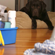 Home-Cleaning-Services - ”kleanhomz.com”